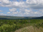 Scenery